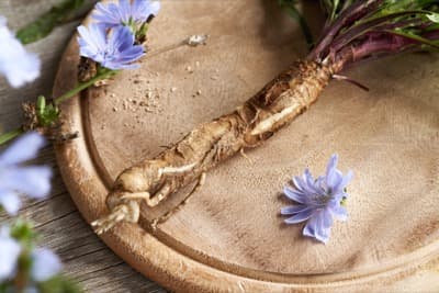 Chicory Root Fibre