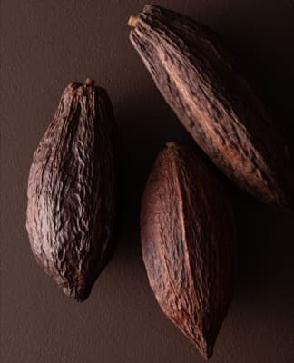 FULLY NATURAL