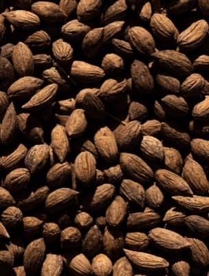 Premium Nuts